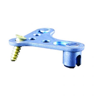 TR Occipital Plaque Screw